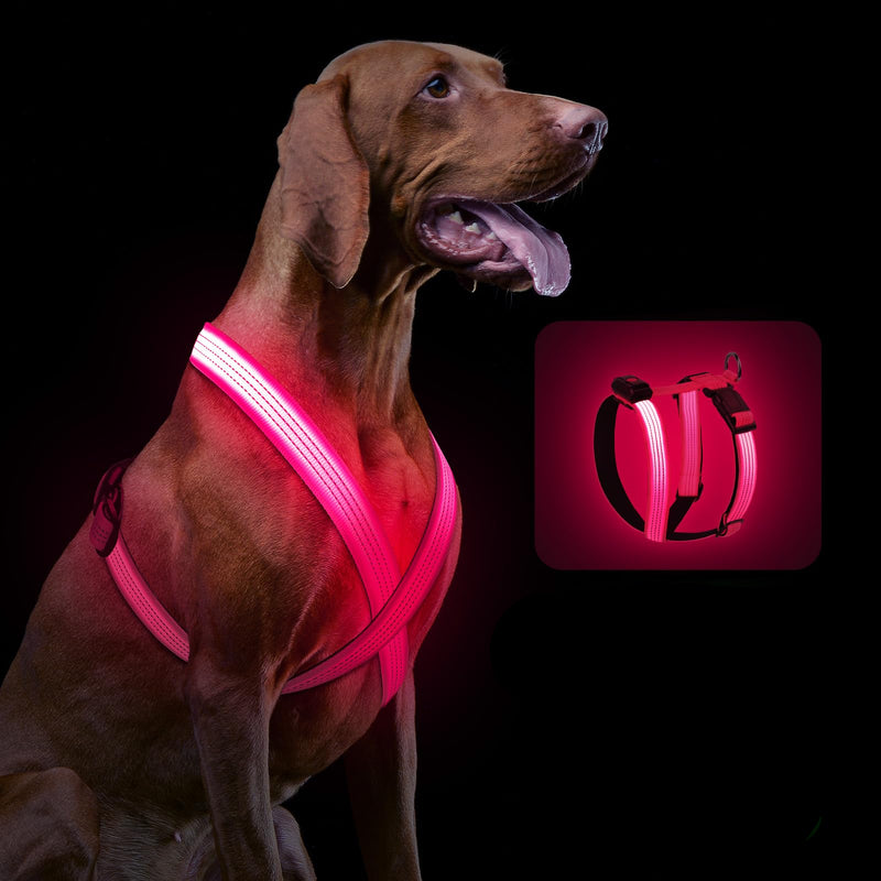 LED Dog Harness